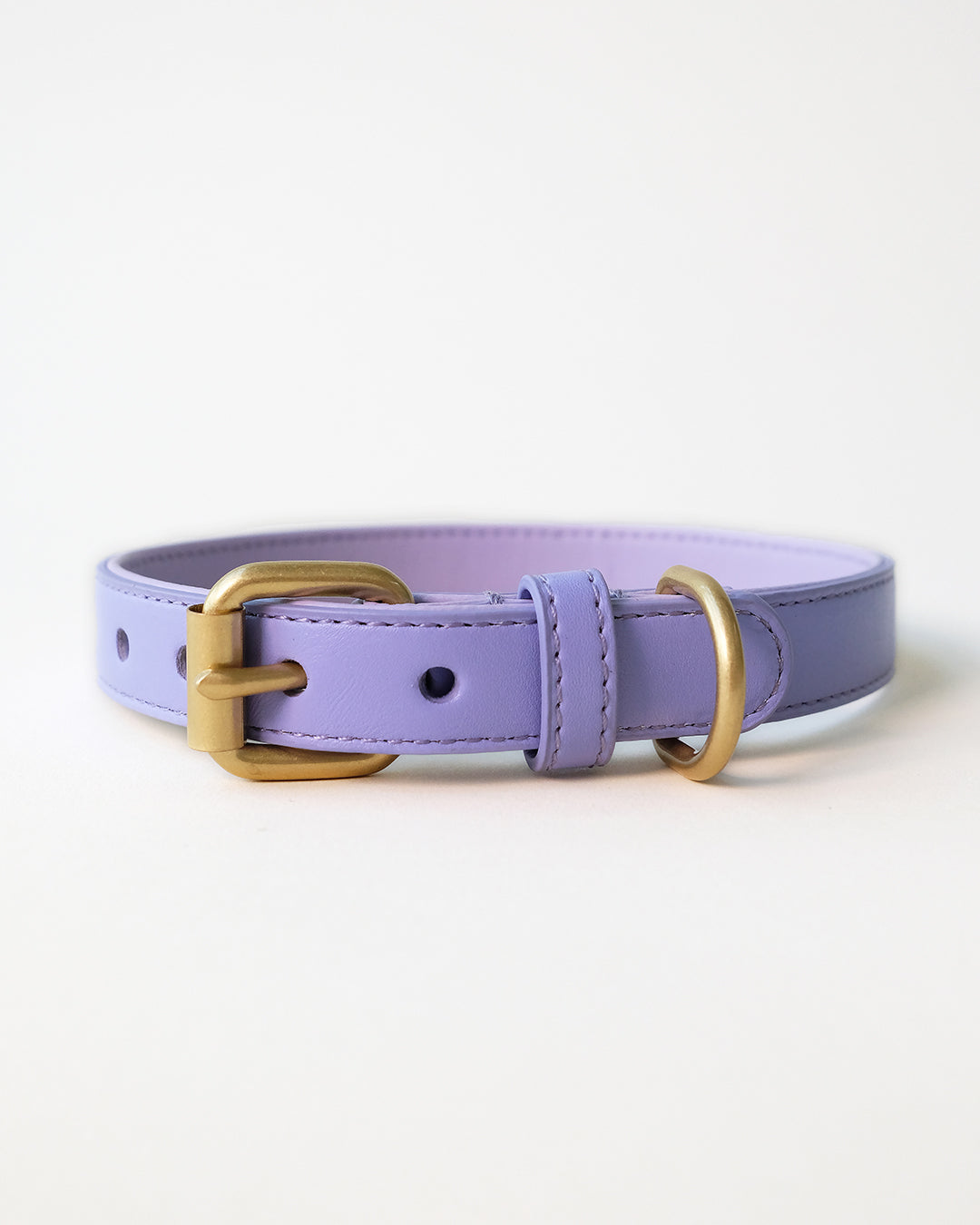 Lilac store dog collar